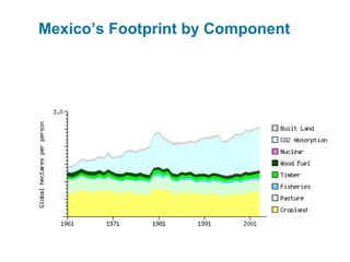 Mexico’s Footprint by Component
 