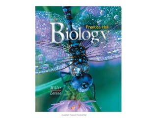 Copyright Pearson Prentice Hall 
biology 
 