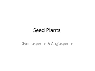 Seed Plants
Gymnosperms & Angiosperms
 