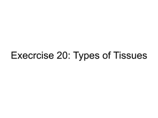 Execrcise 20: Types of Tissues
 