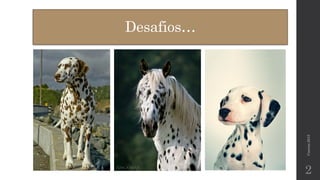 Desafios… 
Correia 2015 
2 
 