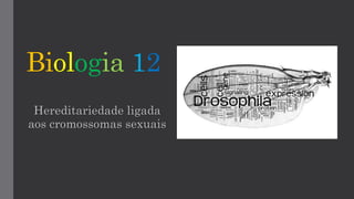 Biologia 12
Hereditariedade ligada
aos cromossomas sexuais
 