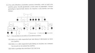 Bio 12   genética - exercícios