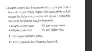 Bio 12   genética - exercícios