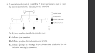 Bio 12   genética - exercícios