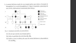 Bio 12   genética - exercícios