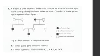 Bio 12   genética - exercícios