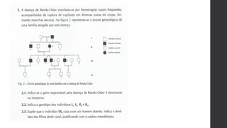 Bio 12   genética - exercícios