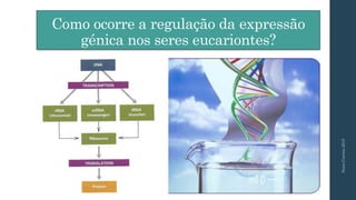 Como ocorre a regulação da expressão
génica nos seres eucariontes?
NunoCorreia2015
 