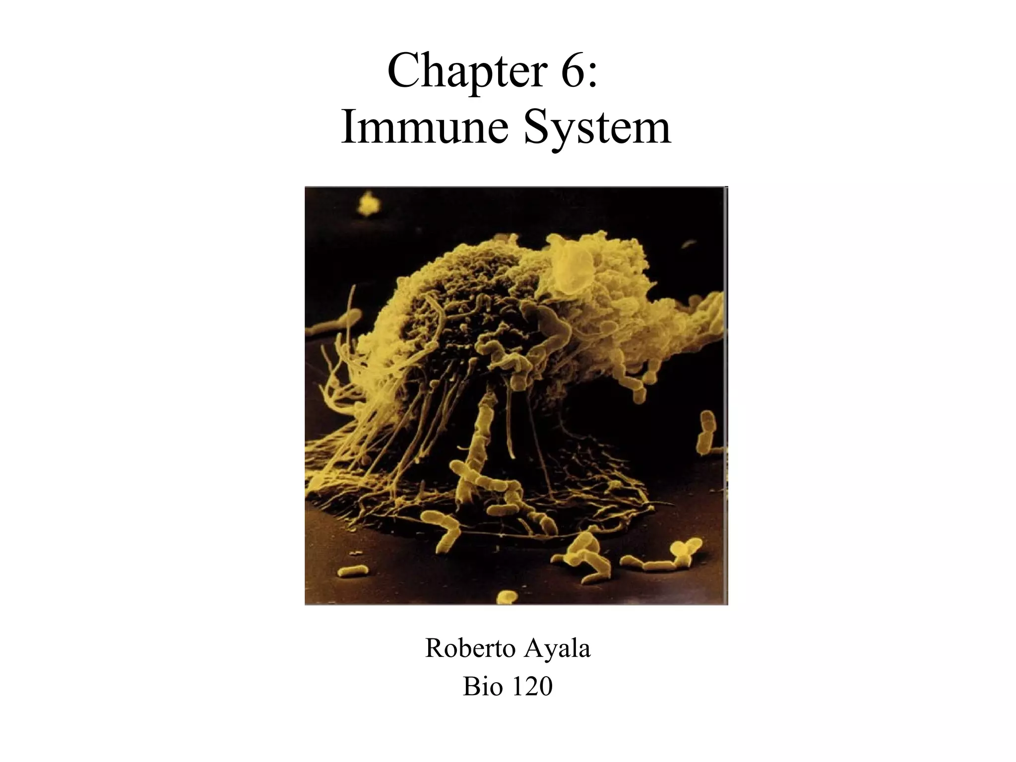 Chapter 6 Powerpoint | PPT