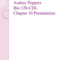 Audrey Peppers
Bio 120-CDL
Chapter 10 Presentation
 