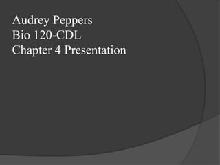 Audrey PeppersBio 120-CDLChapter 4 Presentation 