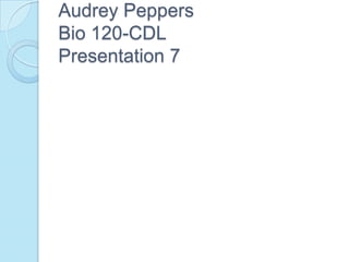 Audrey PeppersBio 120-CDLPresentation 7 
