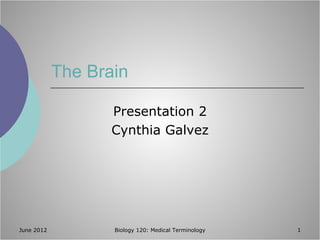 The Brain

                   Presentation 2
                   Cynthia Galvez




June 2012          Biology 120: Medical Terminology   1
 