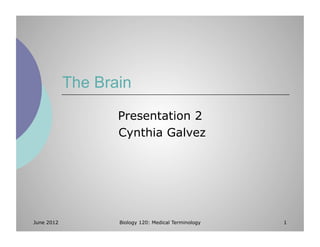 The Brain

                   Presentation 2
                   Cynthia Galvez




June 2012          Biology 120: Medical Terminology   1
 