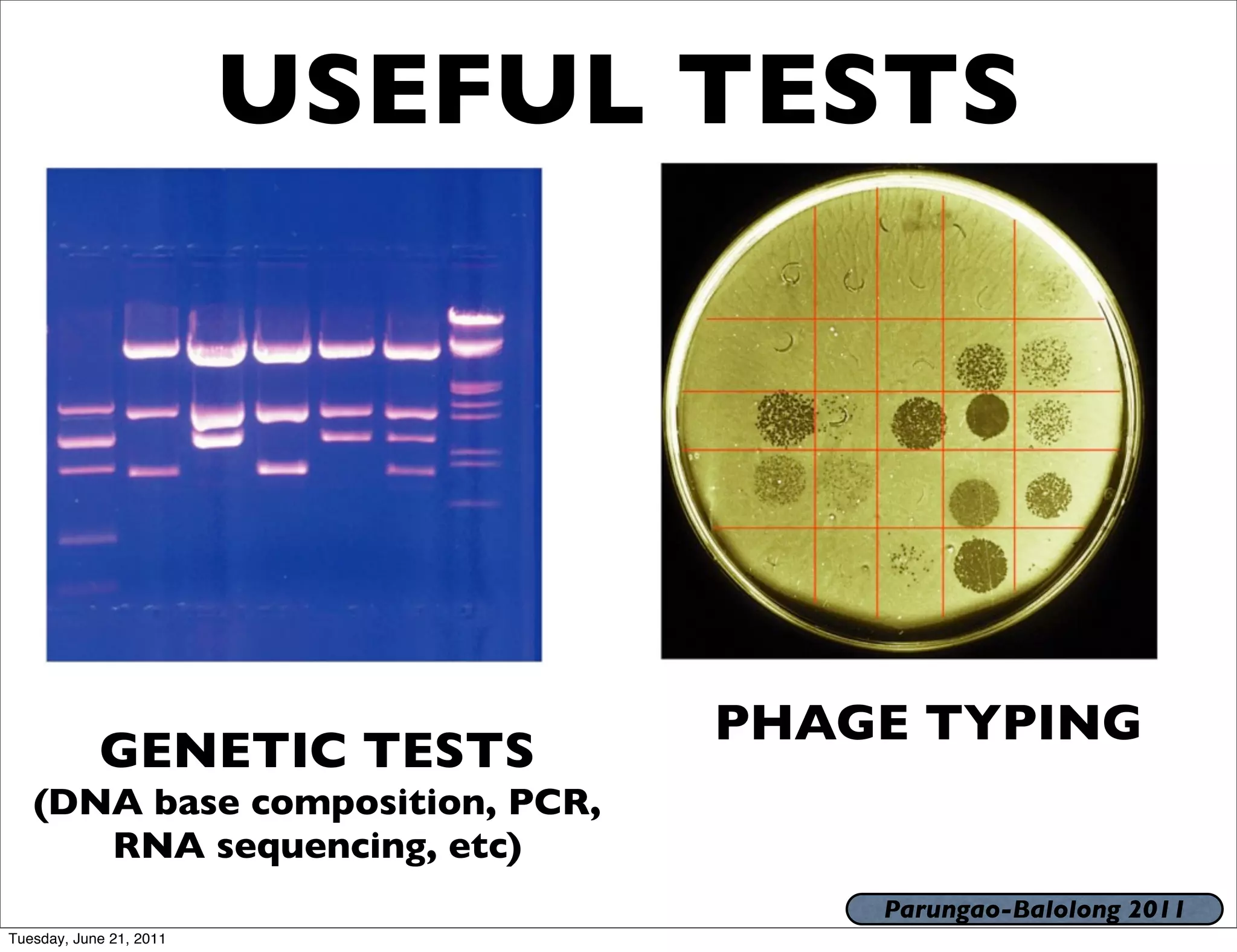 USEFUL TESTS




                                 PHAGE TYPING
            GENETIC TESTS
   (DNA base composition, PCR,
      RNA sequencing, etc)
                                     Parungao-Balolong 2011
Tuesday, June 21, 2011
 