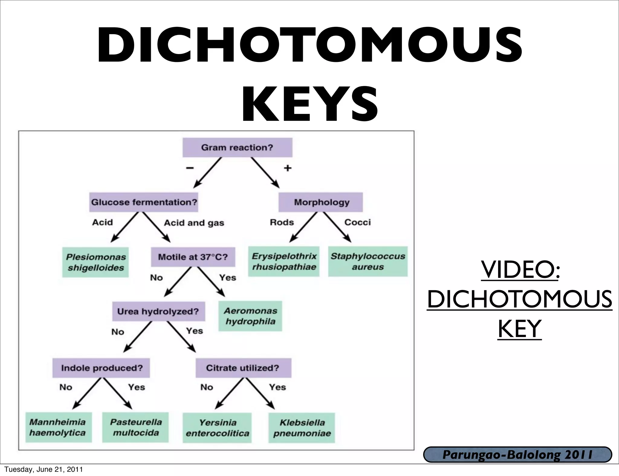 DICHOTOMOUS
                             KEYS


                                     VIDEO:
                                 DICHOTOMOUS
                                      KEY



                                 Parungao-Balolong 2011
Tuesday, June 21, 2011
 