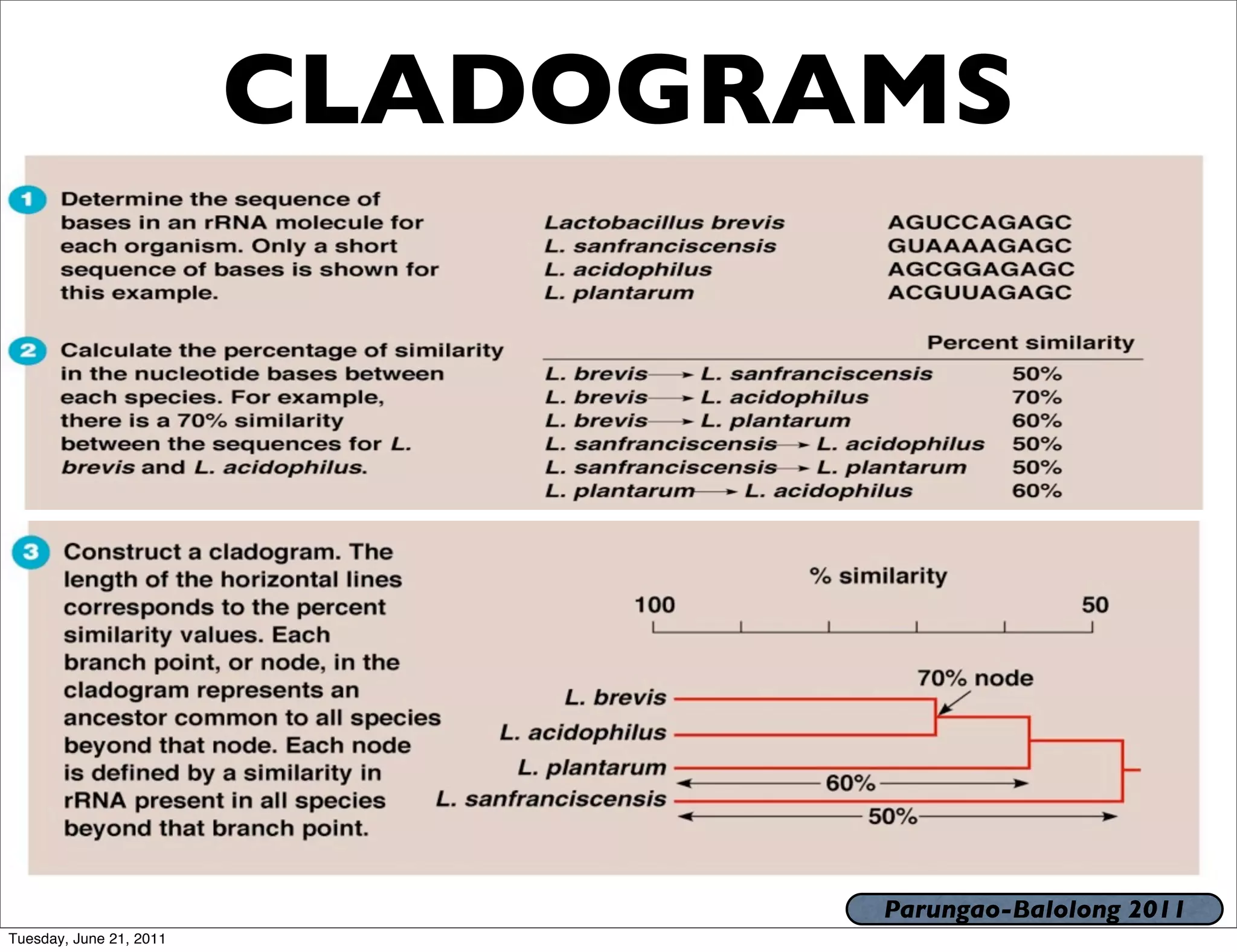 CLADOGRAMS




                                 Parungao-Balolong 2011
Tuesday, June 21, 2011
 