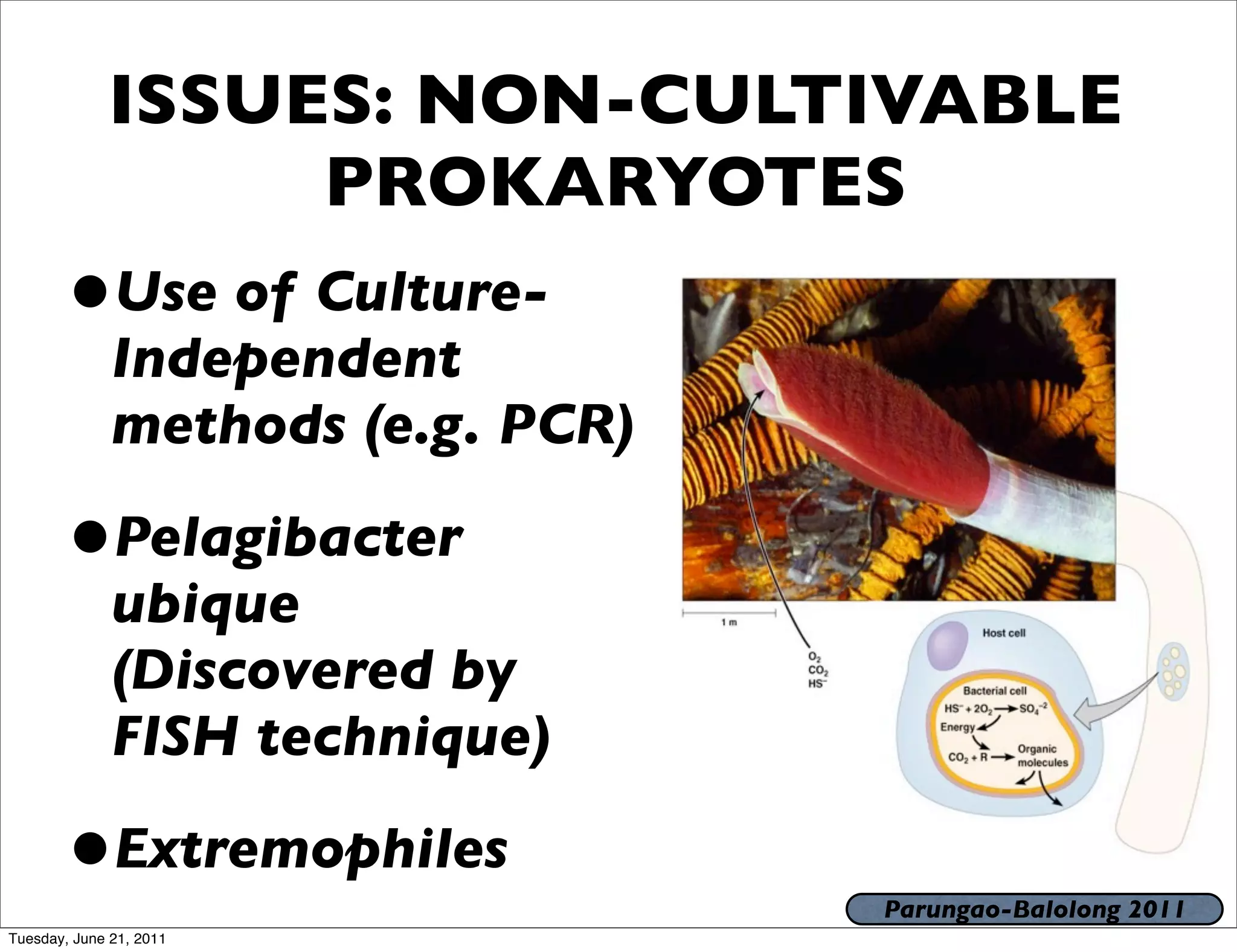 ISSUES: NON-CULTIVABLE
                  PROKARYOTES
       •Use of Culture-
              Independent
              methods (e.g. PCR)

       •Pelagibacter
              ubique
              (Discovered by
              FISH technique)

       •Extremophiles              Parungao-Balolong 2011
Tuesday, June 21, 2011
 