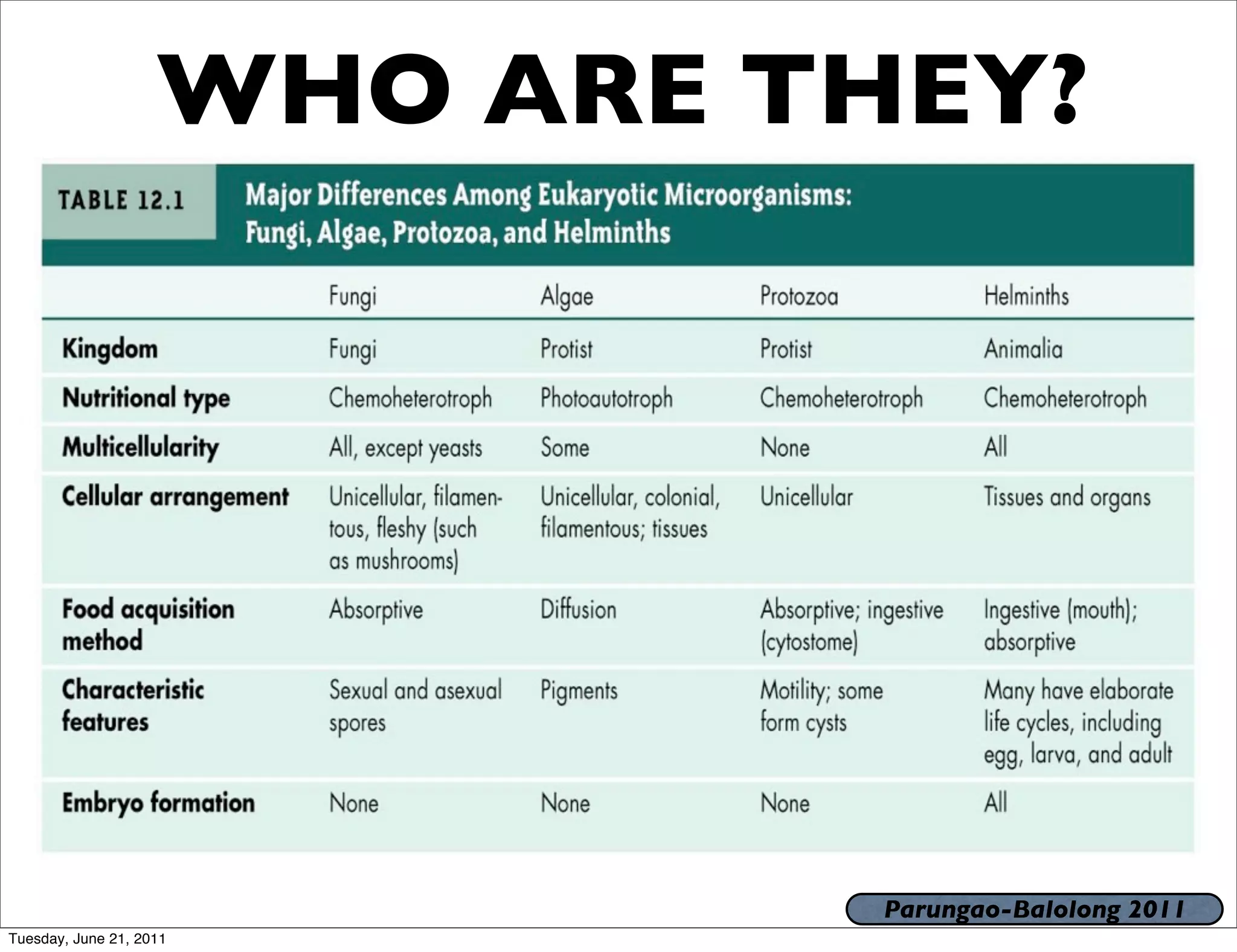 WHO ARE THEY?




                              Parungao-Balolong 2011
Tuesday, June 21, 2011
 