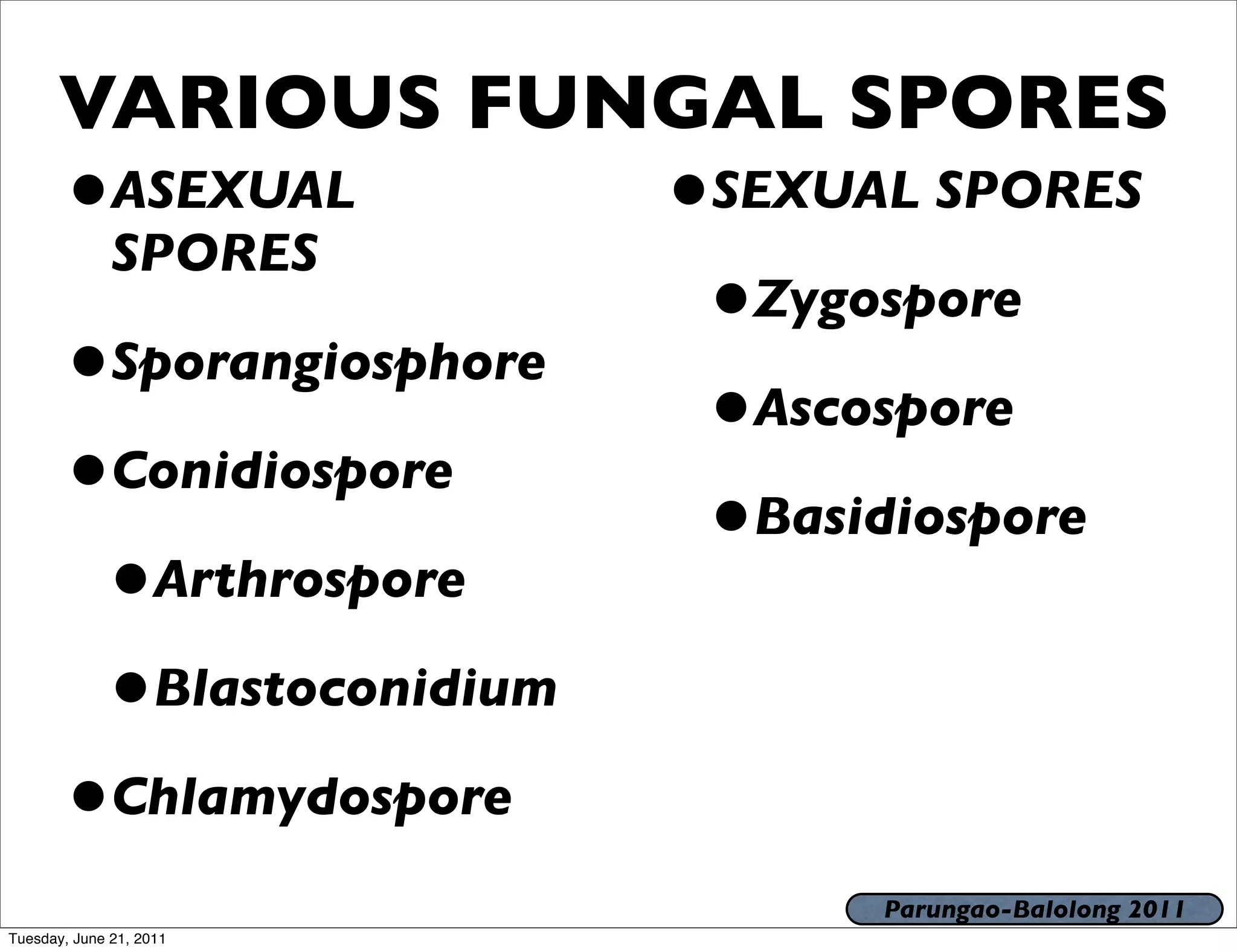 VARIOUS FUNGAL SPORES
       •ASEXUAL           •SEXUAL SPORES
              SPORES
                           •Zygospore
       •Sporangiosphore    •Ascospore
       •Conidiospore       •Basidiospore
        •Arthrospore
        •Blastoconidium
       •Chlamydospore
                                Parungao-Balolong 2011
Tuesday, June 21, 2011
 