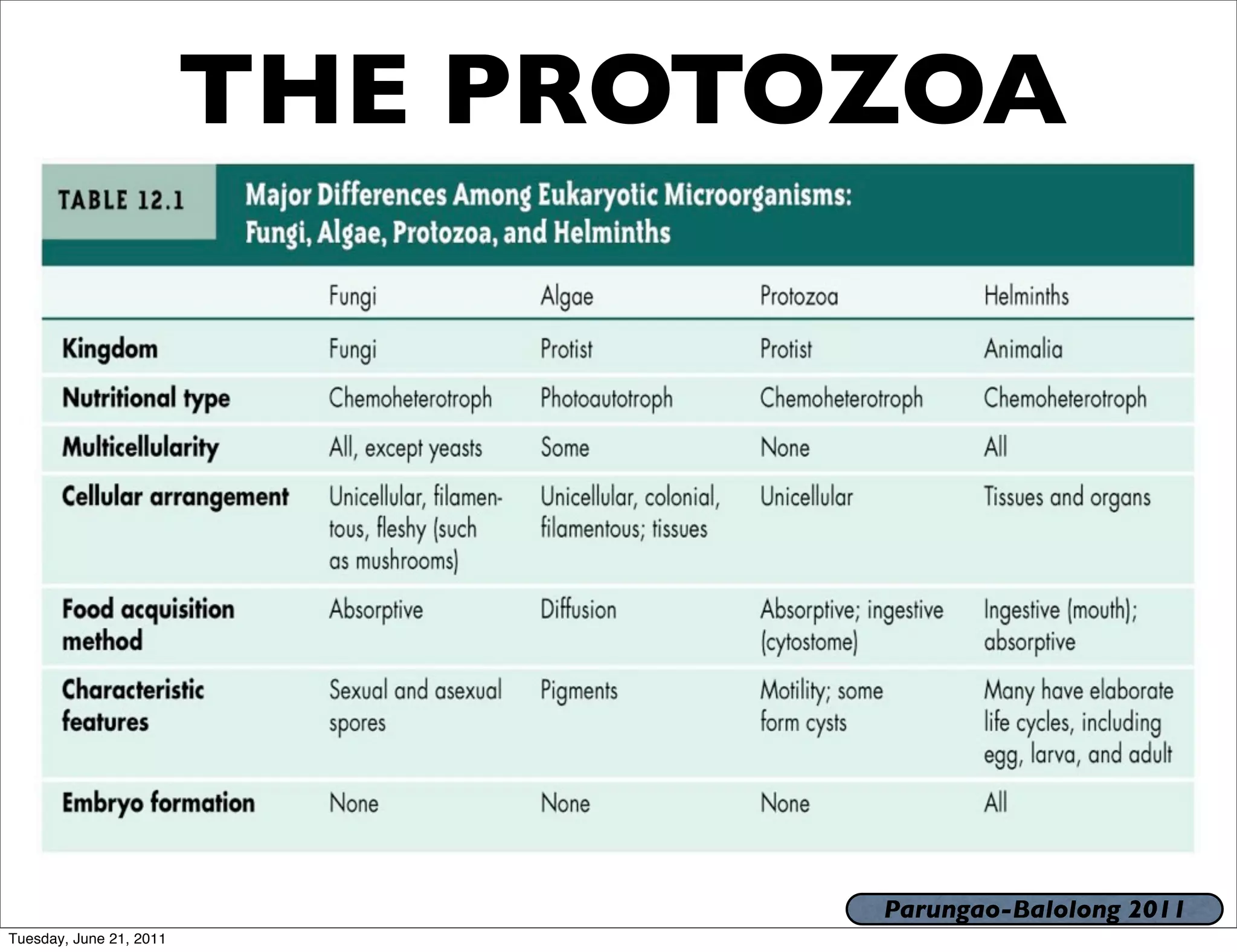 THE PROTOZOA




                                  Parungao-Balolong 2011
Tuesday, June 21, 2011
 