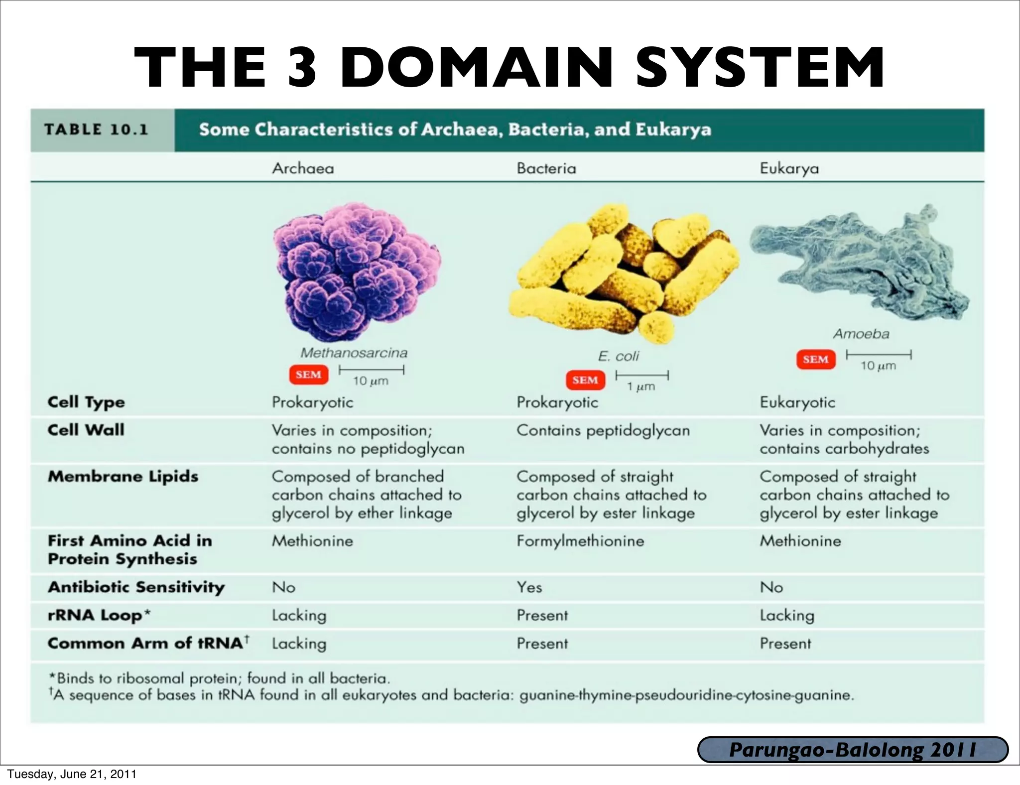 THE 3 DOMAIN SYSTEM




                                    Parungao-Balolong 2011
Tuesday, June 21, 2011
 