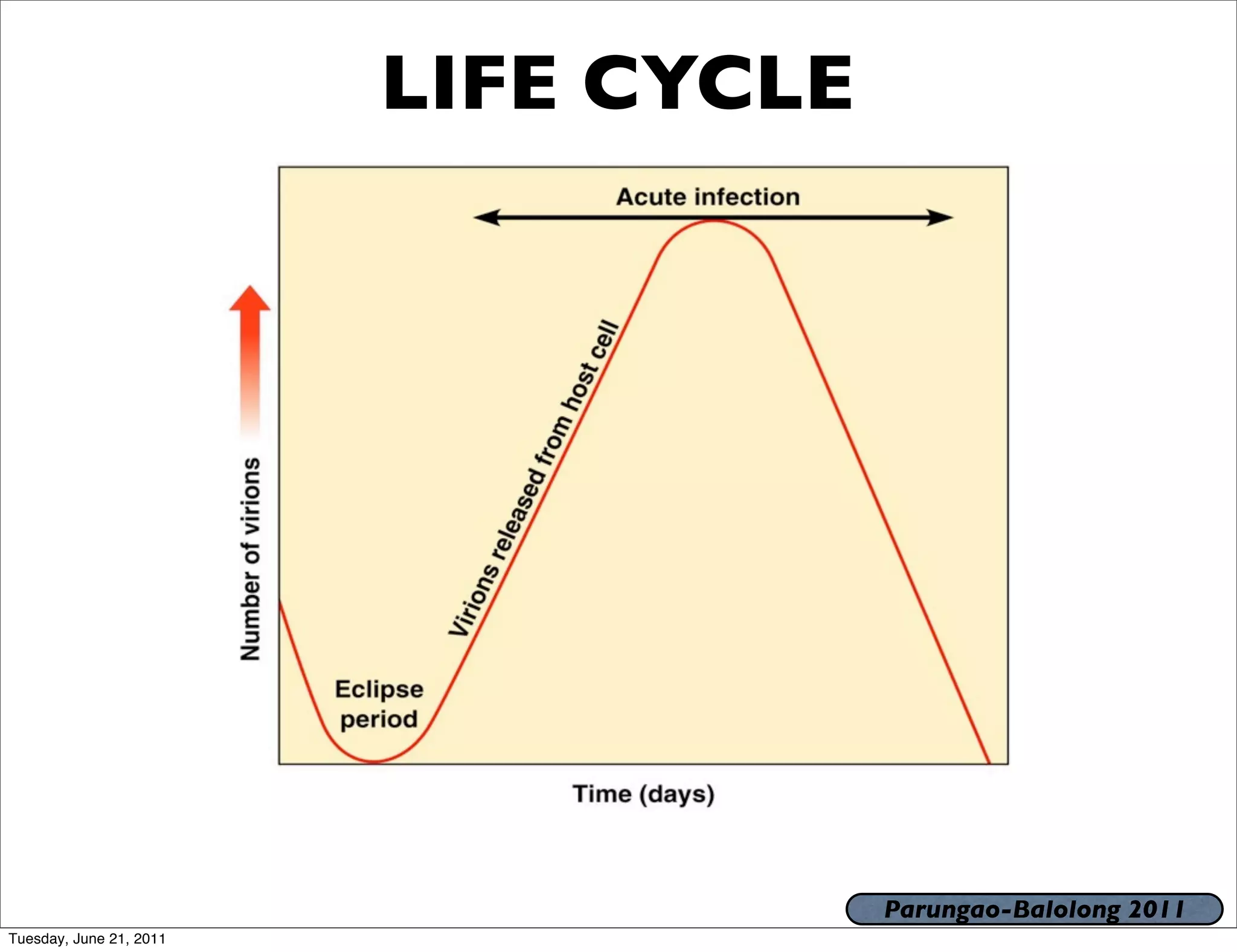 LIFE CYCLE




                                      Parungao-Balolong 2011
Tuesday, June 21, 2011
 
