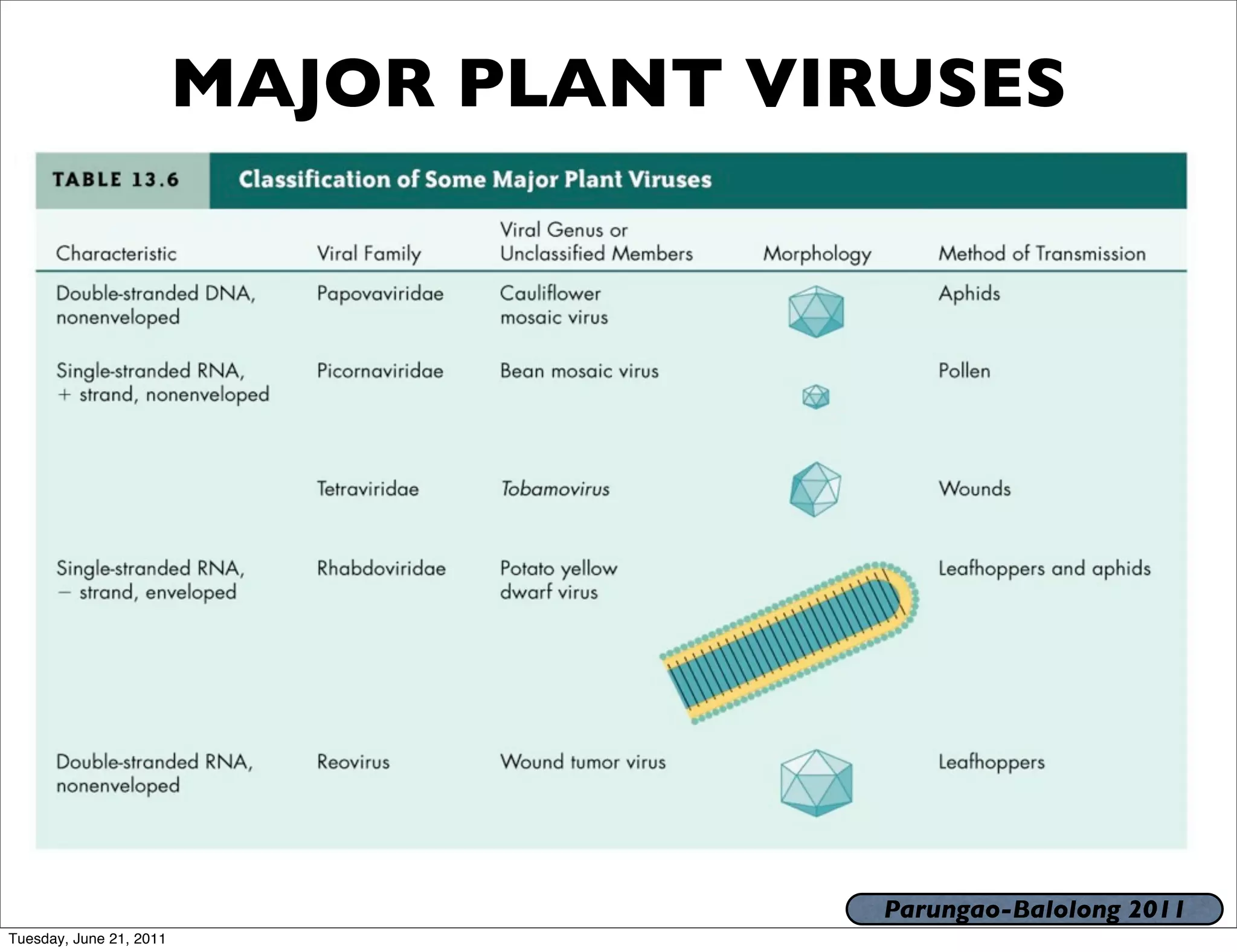 MAJOR PLANT VIRUSES




                                        Parungao-Balolong 2011
Tuesday, June 21, 2011
 