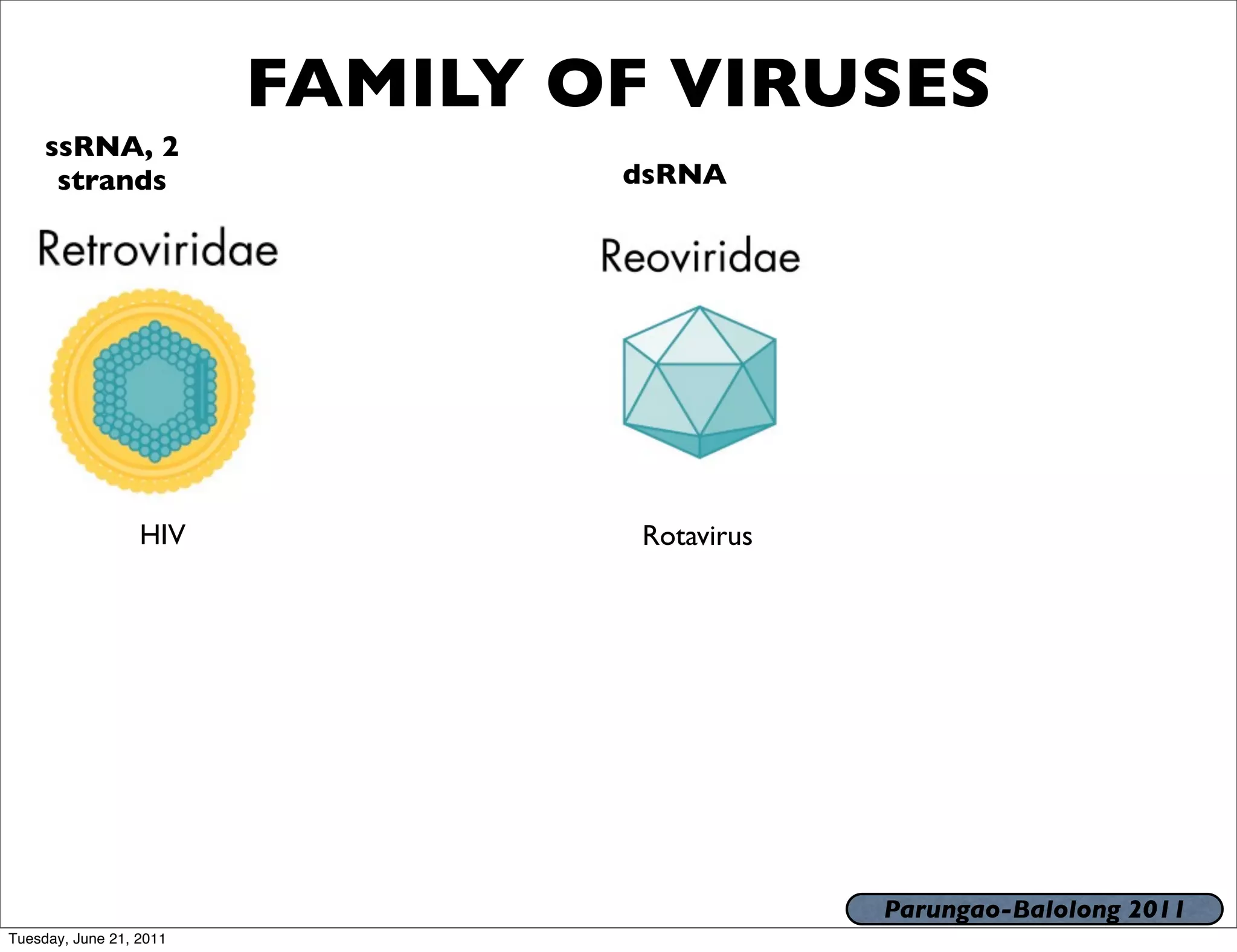 FAMILY OF VIRUSES
     ssRNA, 2
      strands                    dsRNA




                  HIV             Rotavirus




                                              Parungao-Balolong 2011
Tuesday, June 21, 2011
 