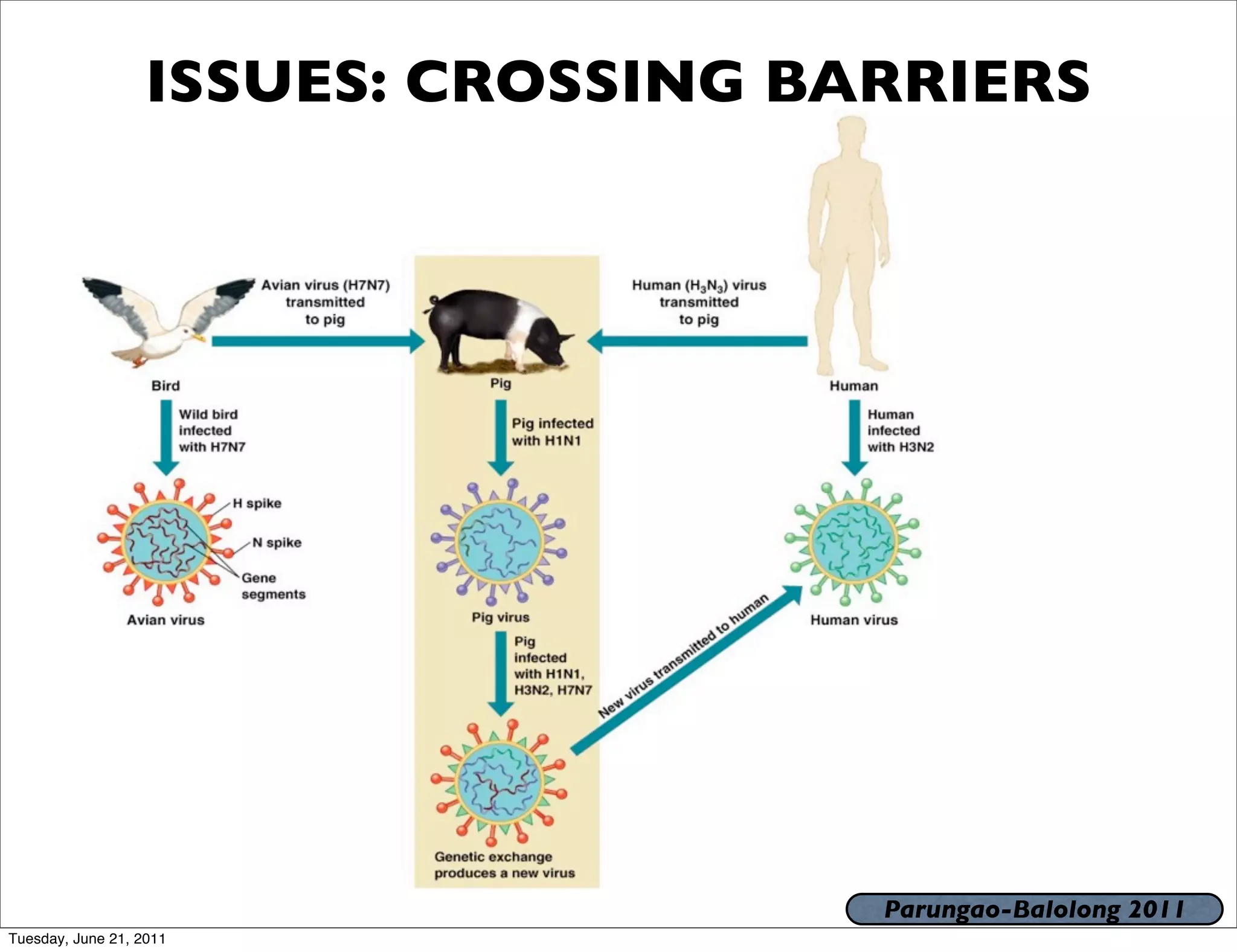 ISSUES: CROSSING BARRIERS




                                      Parungao-Balolong 2011
Tuesday, June 21, 2011
 