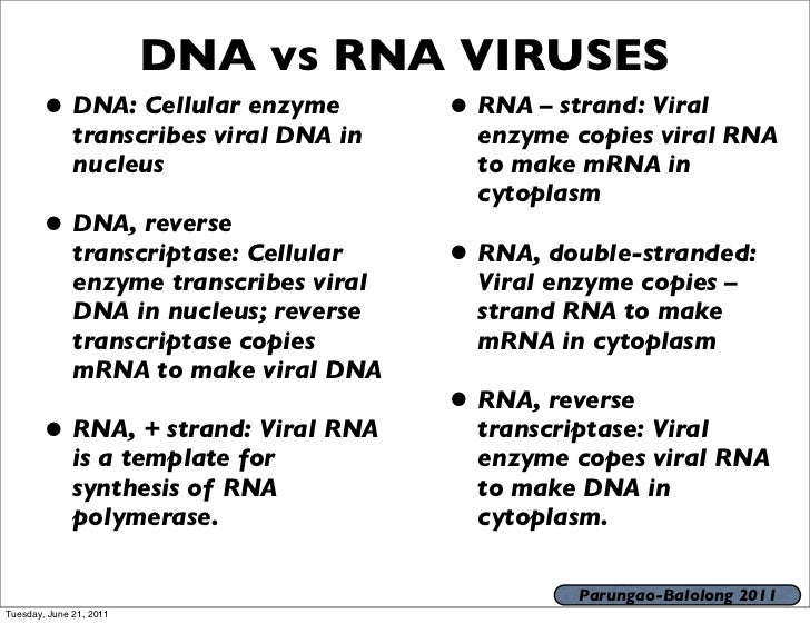 Bio 120 lecture 2 2011 2012