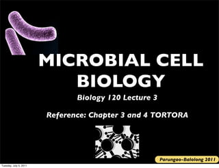 MICROBIAL CELL
                           BIOLOGY
                               Biology 120 Lecture 3

                        Reference: Chapter 3 and 4 TORTORA




                                                       Parungao-Balolong 2011
Tuesday, July 5, 2011
 