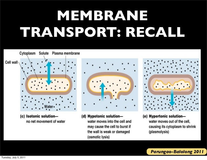 Bio 120 lecture 3 2011 2012