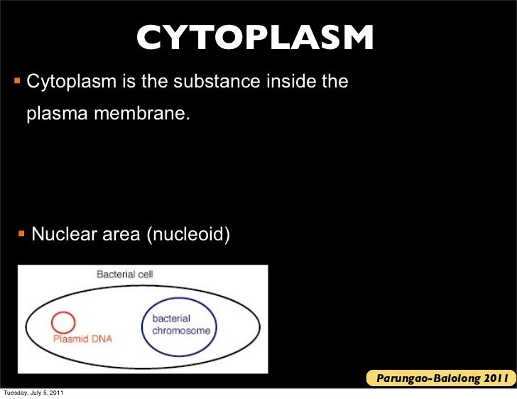 Bio 120 lecture 3 2011 2012