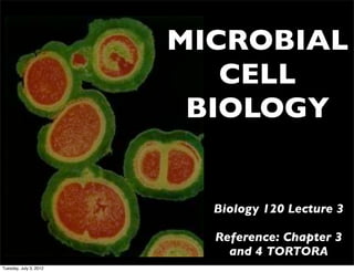 MICROBIAL
                           CELL
                         BIOLOGY


                          Biology 120 Lecture 3

                          Reference: Chapter 3
                            and 4 TORTORA
Tuesday, July 3, 2012
 