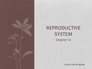 REPRODUCTIVE
SYSTEM
Chapter 10

Lucero Garcia-Aguilar

 
