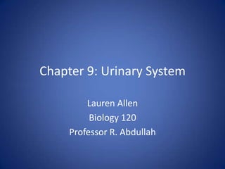 Chapter 9: Urinary System Lauren Allen Biology 120 Professor R. Abdullah 