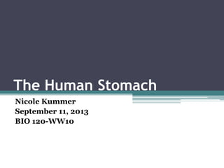 The Human Stomach
Nicole Kummer
September 11, 2013
BIO 120-WW10
 