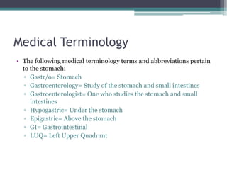 Medical Terminology
• The following medical terminology terms and abbreviations pertain
to the stomach:
▫ Gastr/o= Stomach
▫ Gastroenterology= Study of the stomach and small intestines
▫ Gastroenterologist= One who studies the stomach and small
intestines
▫ Hypogastric= Under the stomach
▫ Epigastric= Above the stomach
▫ GI= Gastrointestinal
▫ LUQ= Left Upper Quadrant
 