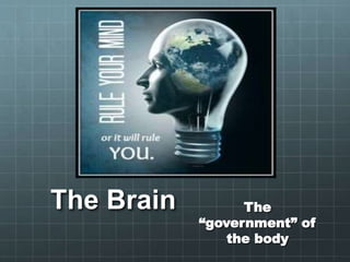 The Brain The
“government” of
the body
 