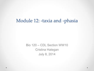 Module 12: -taxia and -phasia
Bio 120 – CDL Section WW10
Cristina Hategan
July 8, 2014
 