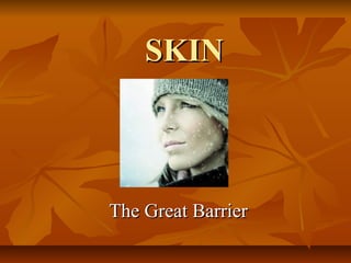 SKIN

The Great Barrier

 