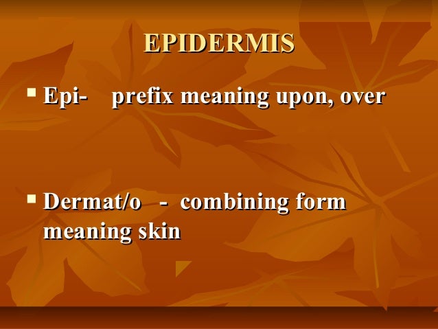 bio120 skin presentation what is a combining form meaning skin