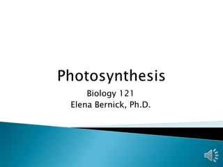 Biology 121
Elena Bernick, Ph.D.
 
