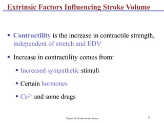 Chapter 18, Cardiovascular System 58
Extrinsic Factors Influencing Stroke Volume
 Contractility is the increase in contractile strength,
independent of stretch and EDV
 Increase in contractility comes from:
 Increased sympathetic stimuli
 Certain hormones
 Ca2+ and some drugs
 