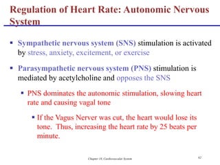 Chapter 18, Cardiovascular System 62
 Sympathetic nervous system (SNS) stimulation is activated
by stress, anxiety, excitement, or exercise
 Parasympathetic nervous system (PNS) stimulation is
mediated by acetylcholine and opposes the SNS
 PNS dominates the autonomic stimulation, slowing heart
rate and causing vagal tone
 If the Vagus Nerver was cut, the heart would lose its
tone. Thus, increasing the heart rate by 25 beats per
minute.
Regulation of Heart Rate: Autonomic Nervous
System
 