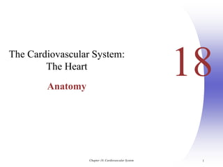 Chapter 18, Cardiovascular System 1
18
The Cardiovascular System:
The Heart
Anatomy
 