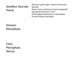 Selaginella sporophyte
 
