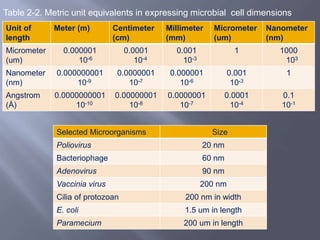 Bio 127 lec 2 Microbiology: Tools Used in Microbiology | PPTX